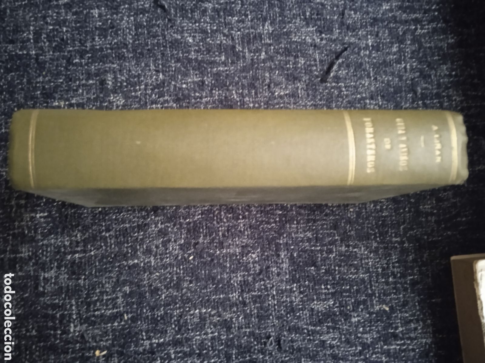 Second hand books: Gu&iacute;a y Avisos de Forasteros Que Vienen a la Corte / Antonio Li&ntilde;&aacute;n Y Verdugo 1923 - TAPA DURA