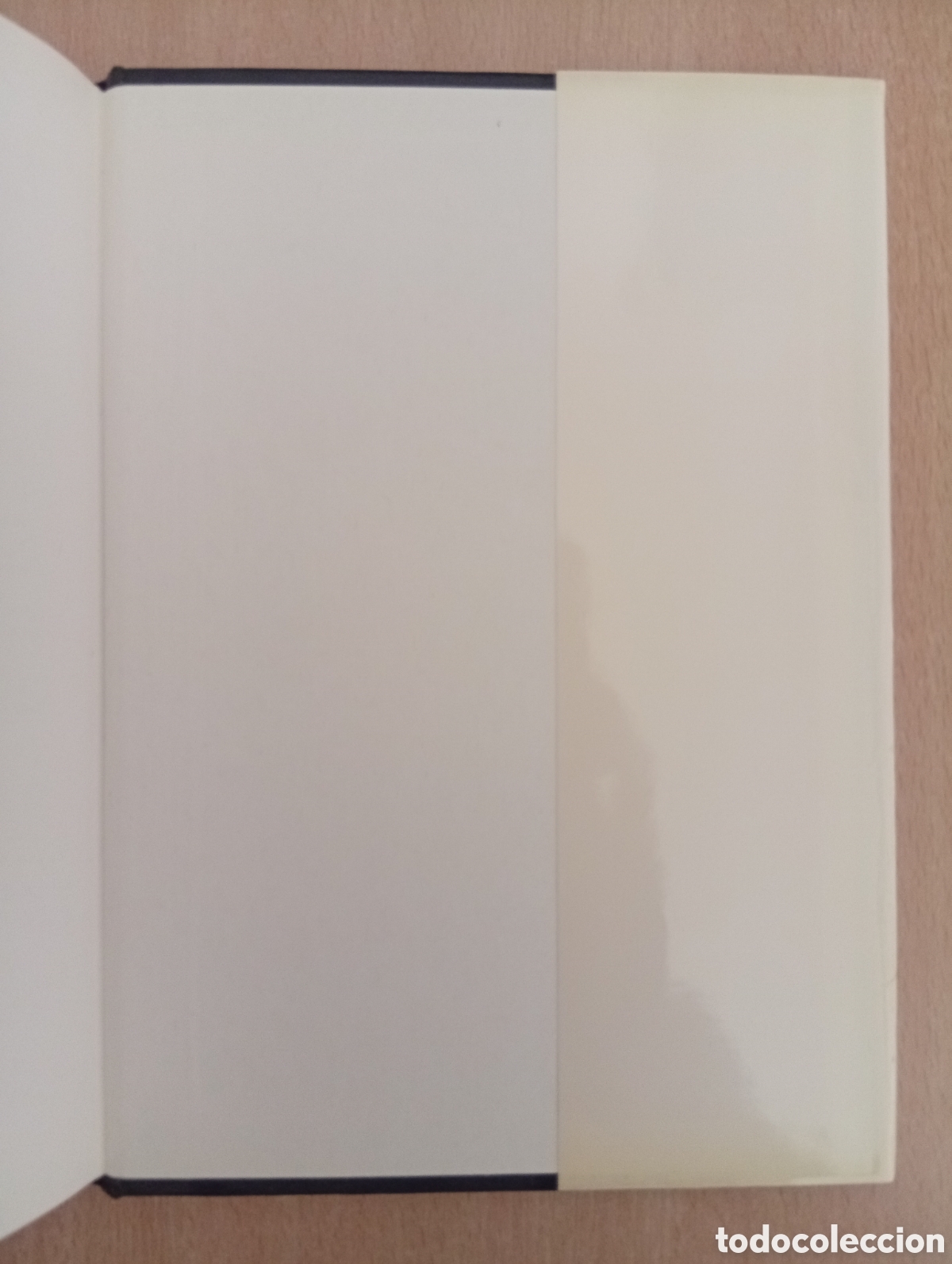 Libros de segunda mano: HIST&Ograve;RIA DE LEIXAMPLE. Llu&iacute;s Permanyer - Foto 8