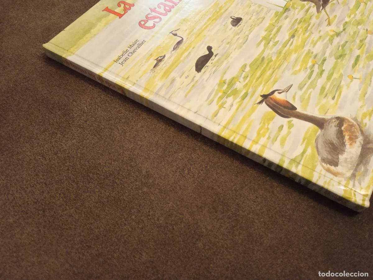 Libros de segunda mano: LA VIDA EN EL ESTANQUE. BEASCOA. 9 LIBRITOS EN UN GRAN LIBRO. - Foto 2