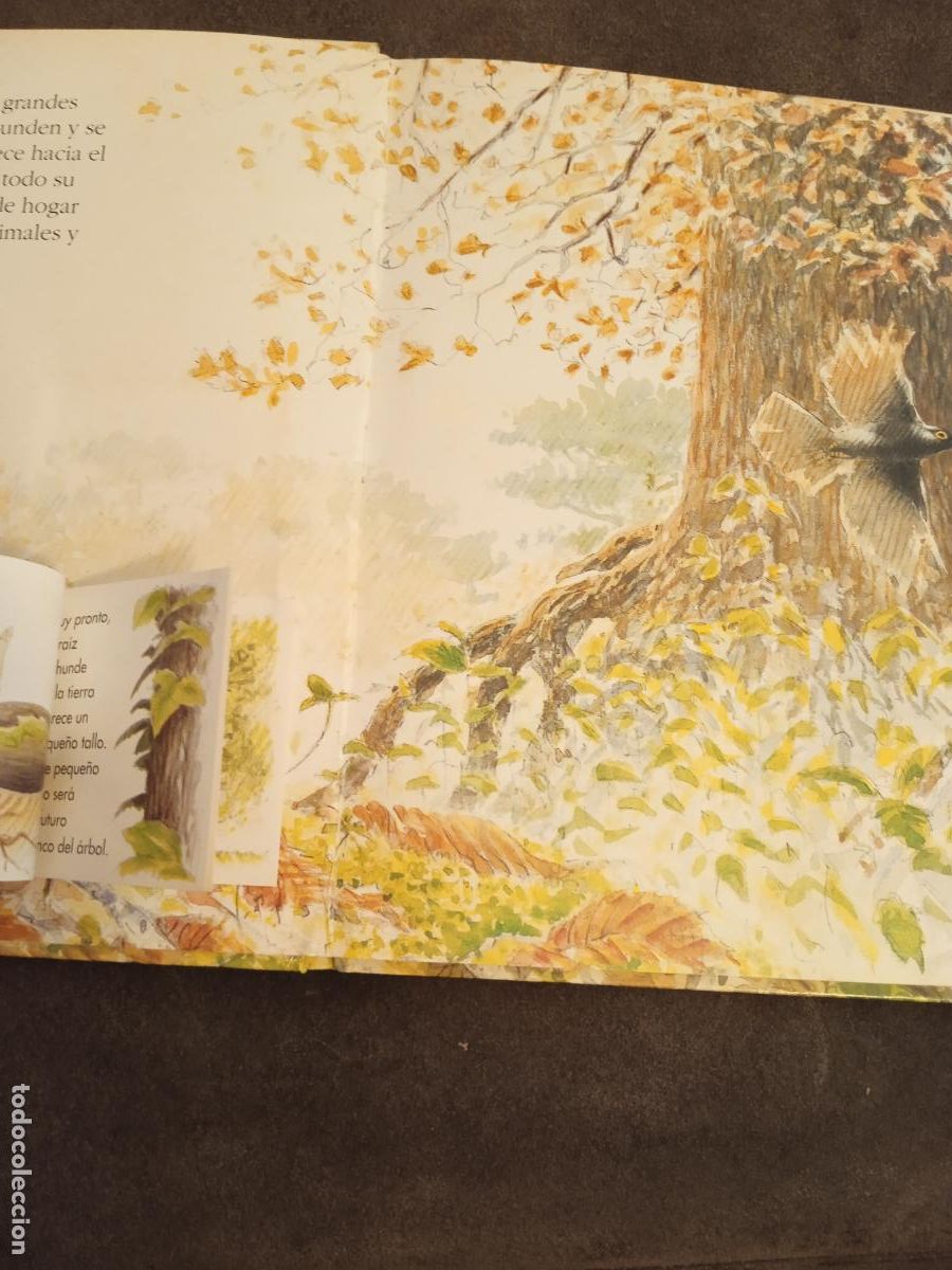 Libros de segunda mano: LA VIDA EN LOS ARBOLES. BEASCOA. 9 LIBRITOS EN UN GRAN LIBRO. - Foto 4