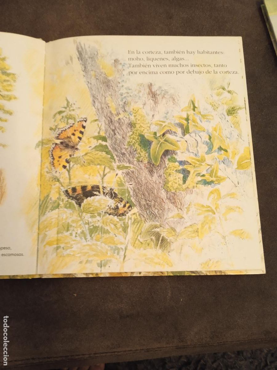 Libros de segunda mano: LA VIDA EN LOS ARBOLES. BEASCOA. 9 LIBRITOS EN UN GRAN LIBRO. - Foto 5