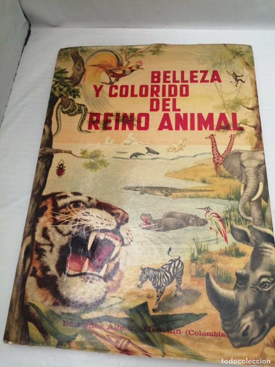 Libros de segunda mano: Belleza y colorido del reino animal (Colombia 1960 aprox.)