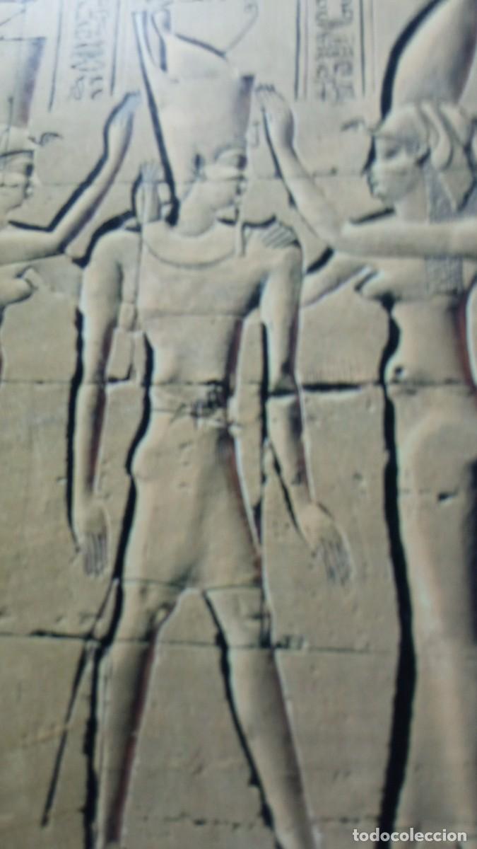 Libros de segunda mano: EGIPTO - ALBERTO SILIOTTI - ED. FOLIO - Foto 3