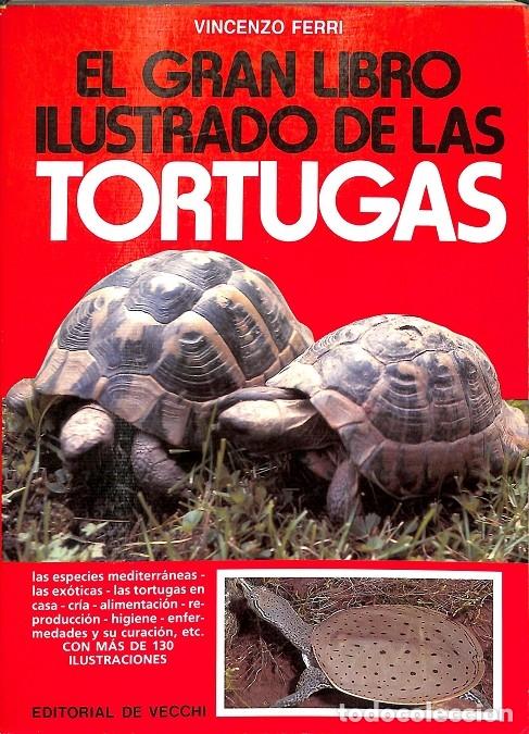 Livres d'occasion: EL GRAN LIBRO DE LAS TORTUGAS - FERRI, VINCENZO - DE VECCHI - 1991 - 2&ordf; ed. - Colecci&oacute;n Animales Dom
