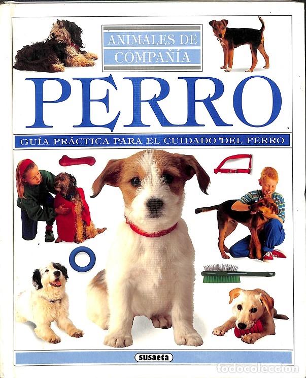 Libros de segunda mano: PERRO GU&Iacute;A PR&Aacute;CTICA CUIDADO PERRO - MARK EVANS - EDICIONES SUSAETA - 1992 - Foto 1