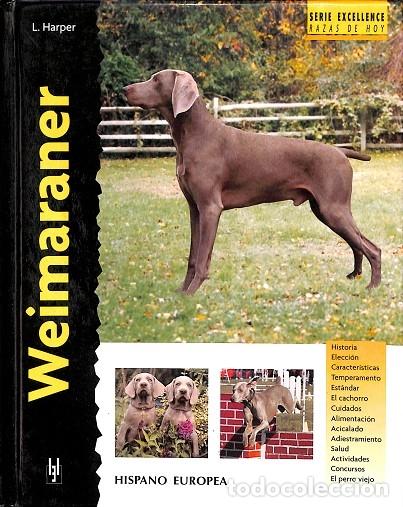 Libros de segunda mano: WEIMARANER - HARPER, LAVONIA - HISPANO EUROPEA - 2007 - EXCELLENCE - Foto 1