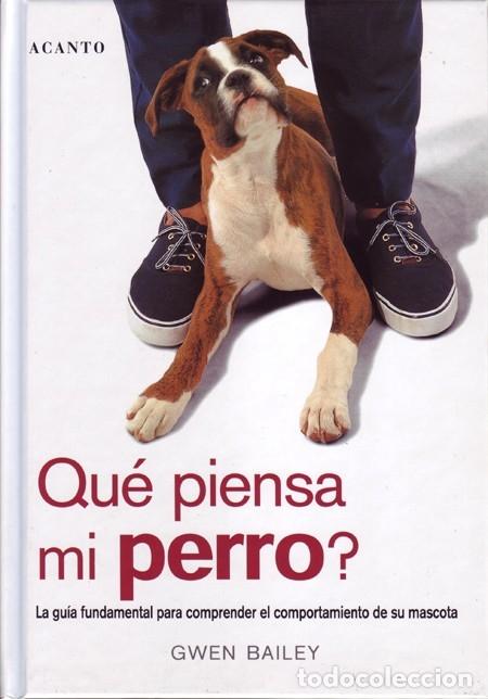 Libros de segunda mano: &iquest;QU&Eacute; PIENSA MI PERRO? - BAILEY, GWEN - EDITORIAL ACANTO S.A. - 2003 - Foto 1