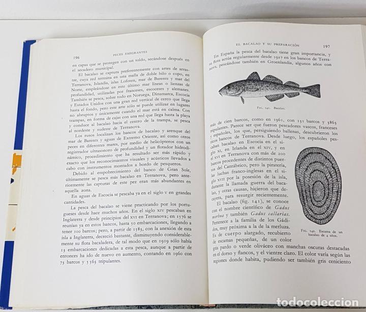 Libros de segunda mano: PECES EMIGRANTES - J. Lopez - Ed. Garriga - 1963 - Foto 2