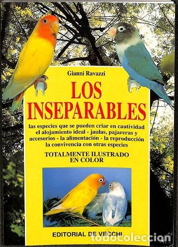 Libros de segunda mano: LOS INSEPARABLES - GIANNI RAVAZZI - DE VECCHI - 1999 - Foto 1