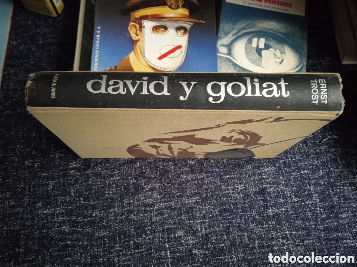 Libros de segunda mano: DAVID Y GOLIAT / ERNST TROST - Foto 1
