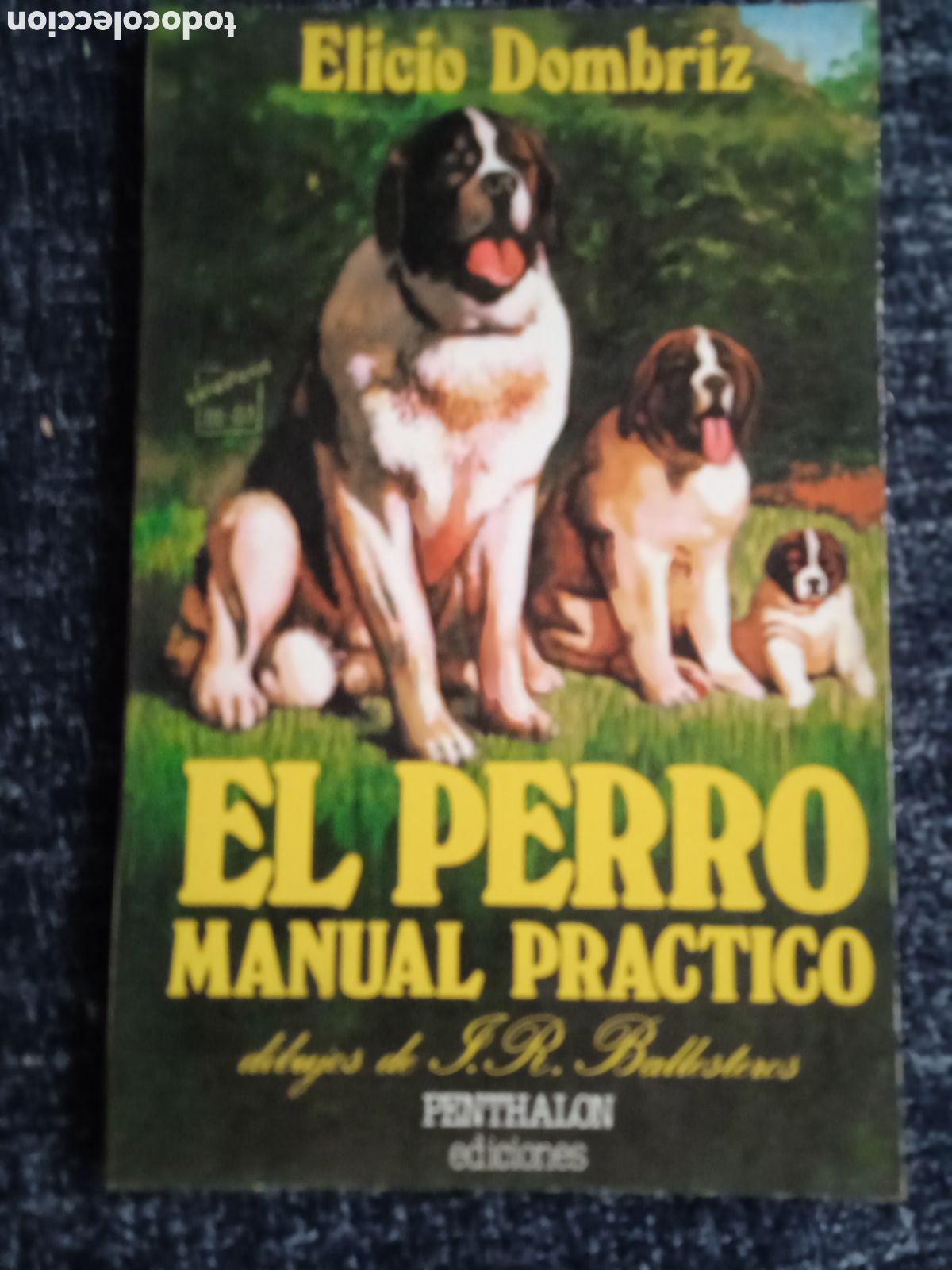 Libros de segunda mano: El perro. Manual pr&aacute;ctico. / Elicio Dombriz - Foto 1