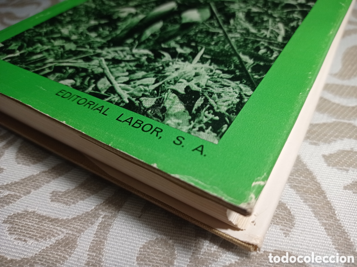 Libros de segunda mano: PIGMEOS. PAUL JULIEN. ANTROPOLOG&Iacute;A. - Foto 10