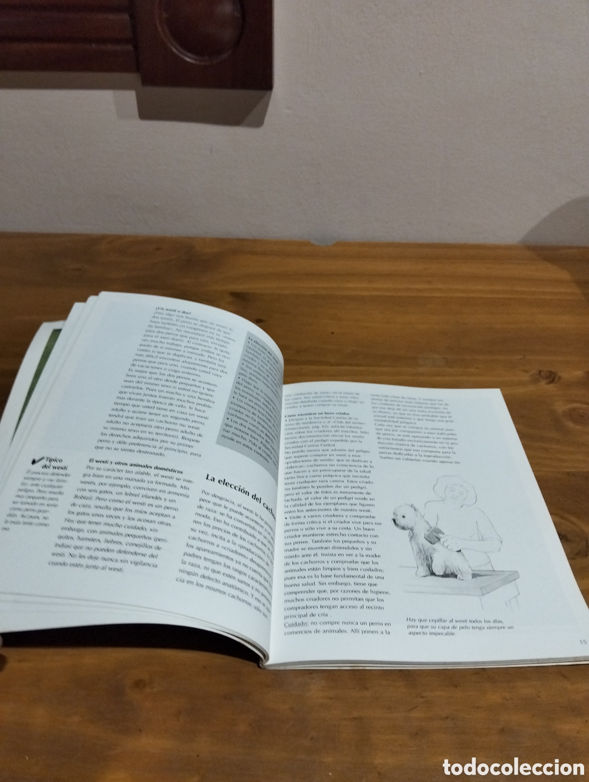 Libros de segunda mano: El westi . Editorial Everest - Foto 3