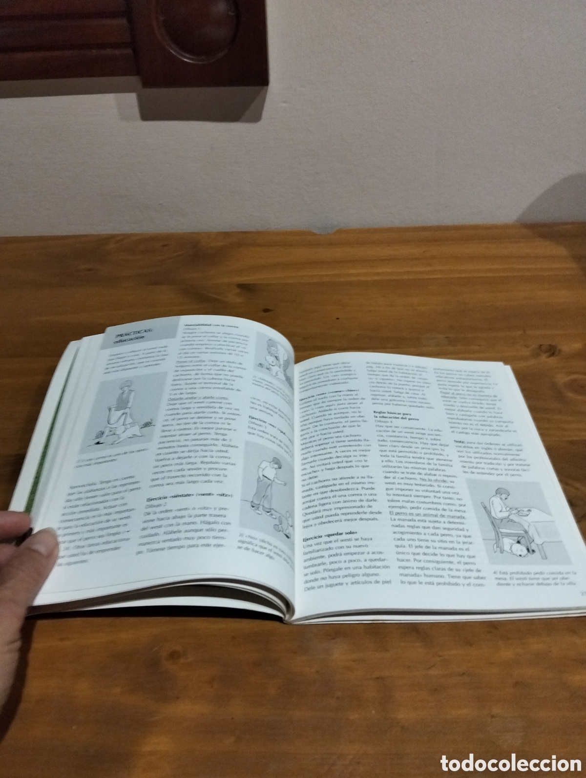 Libros de segunda mano: El westi . Editorial Everest - Foto 4