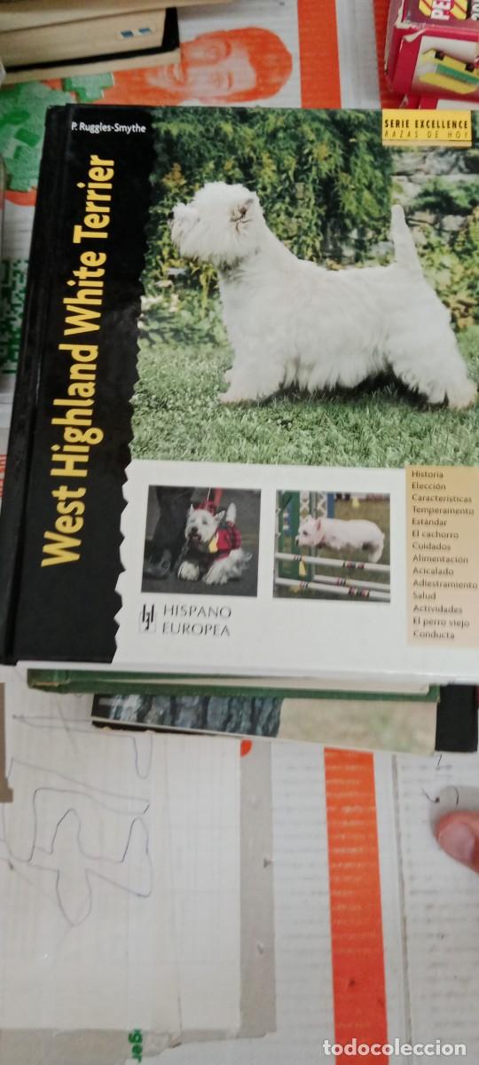 Libros de segunda mano: E-SHA LIBRO WEST HIGHLAND WHITE TERRIER - Foto 1