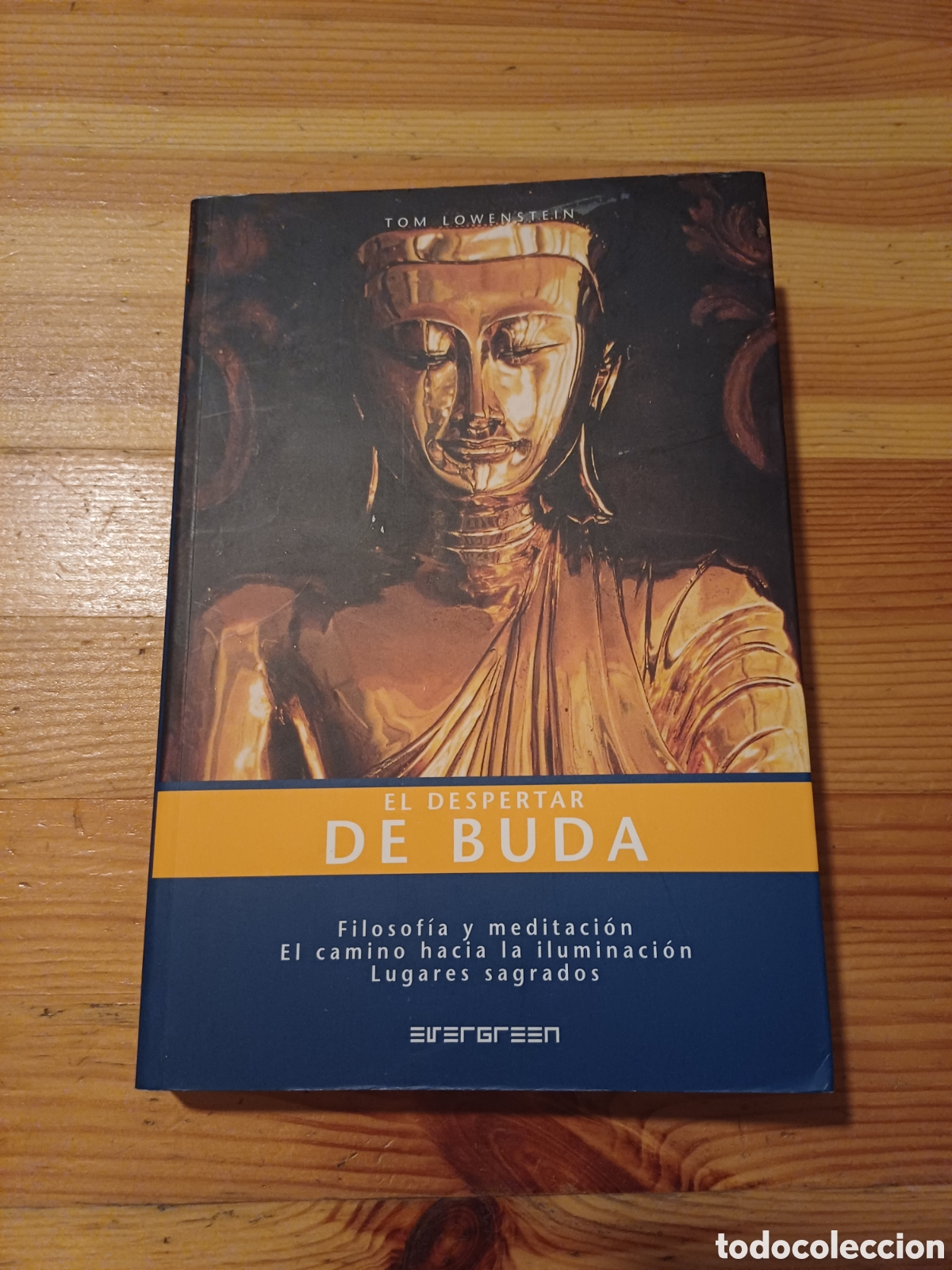 Libros de segunda mano: El despertar de Buda Filosofia y meditacion Tom Lowenstein - Foto 1