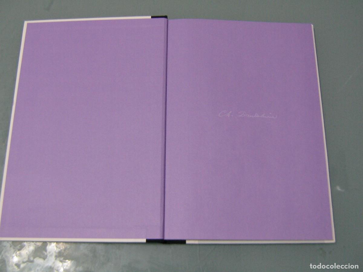 Libros de segunda mano: LAS FLORES DEL MAL - Baudelaire / Pat Andrea - Foto 2