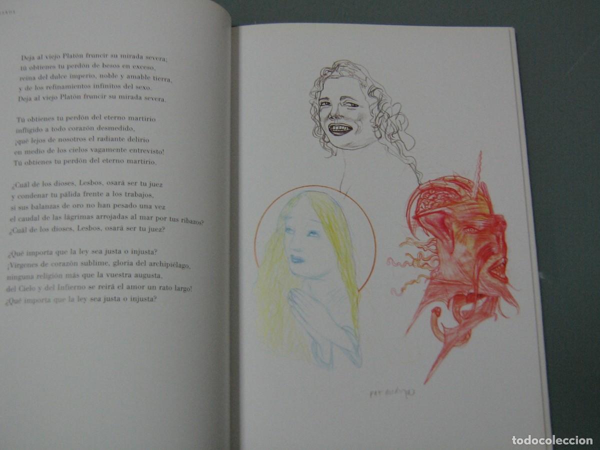 Libros de segunda mano: LAS FLORES DEL MAL - Baudelaire / Pat Andrea - Foto 4
