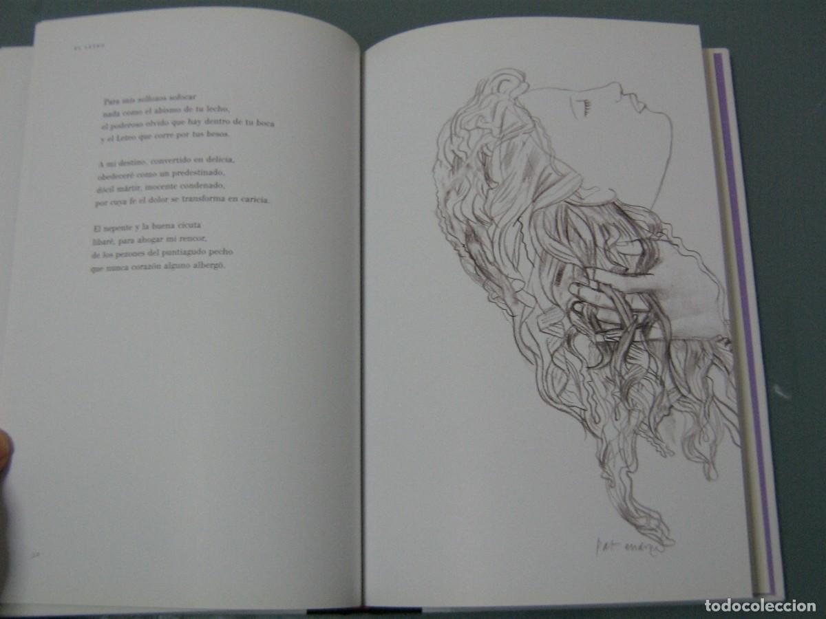 Libros de segunda mano: LAS FLORES DEL MAL - Baudelaire / Pat Andrea - Foto 5