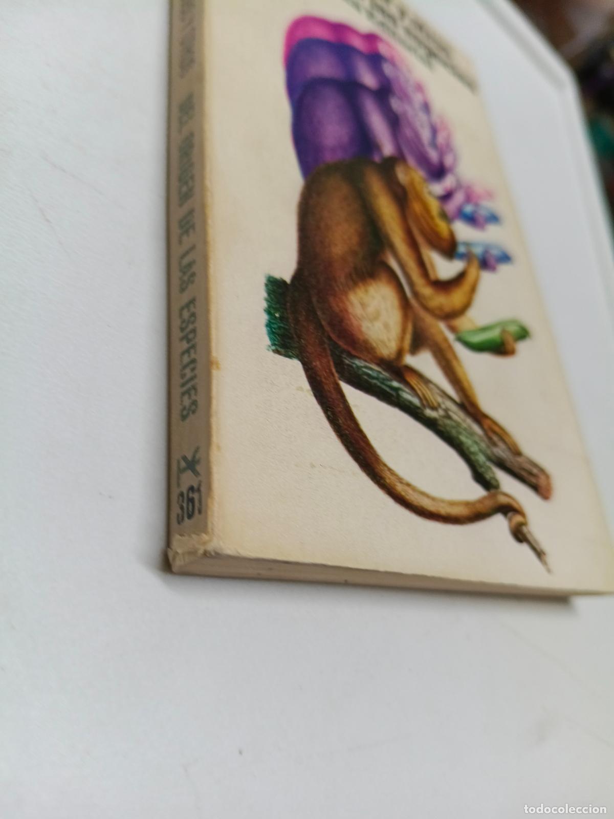Libros de segunda mano: DEL ORIGEN DE LAS ESPECIES / HANS QUERNER Y OTROS - Foto 2