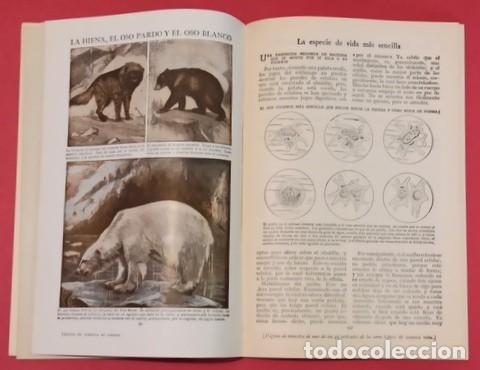 Libros de segunda mano: Noticia detallada de un libro: Tesoro de la juventud - Foto 3