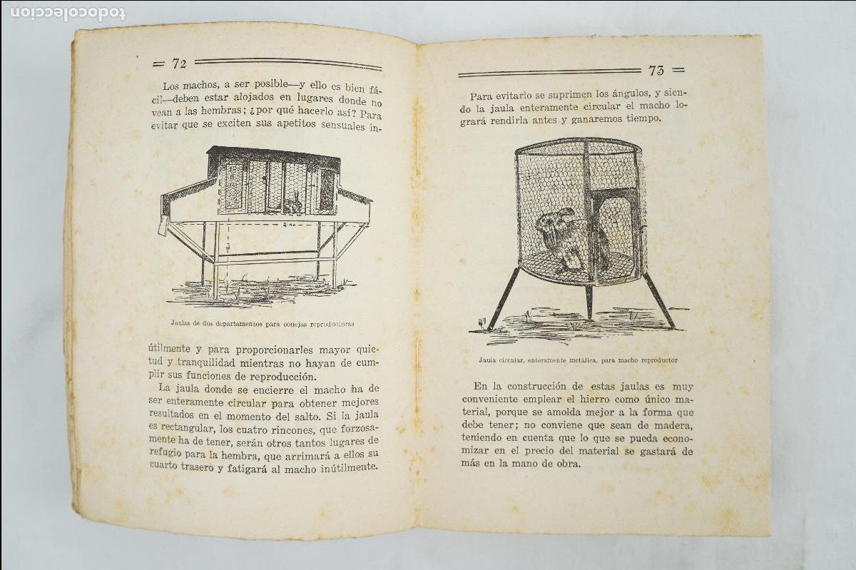 Libros de segunda mano: Conejos y conejares - 7&ordf; edici&oacute;n - Ram&oacute;n J. Crespo - 1938 - Foto 5
