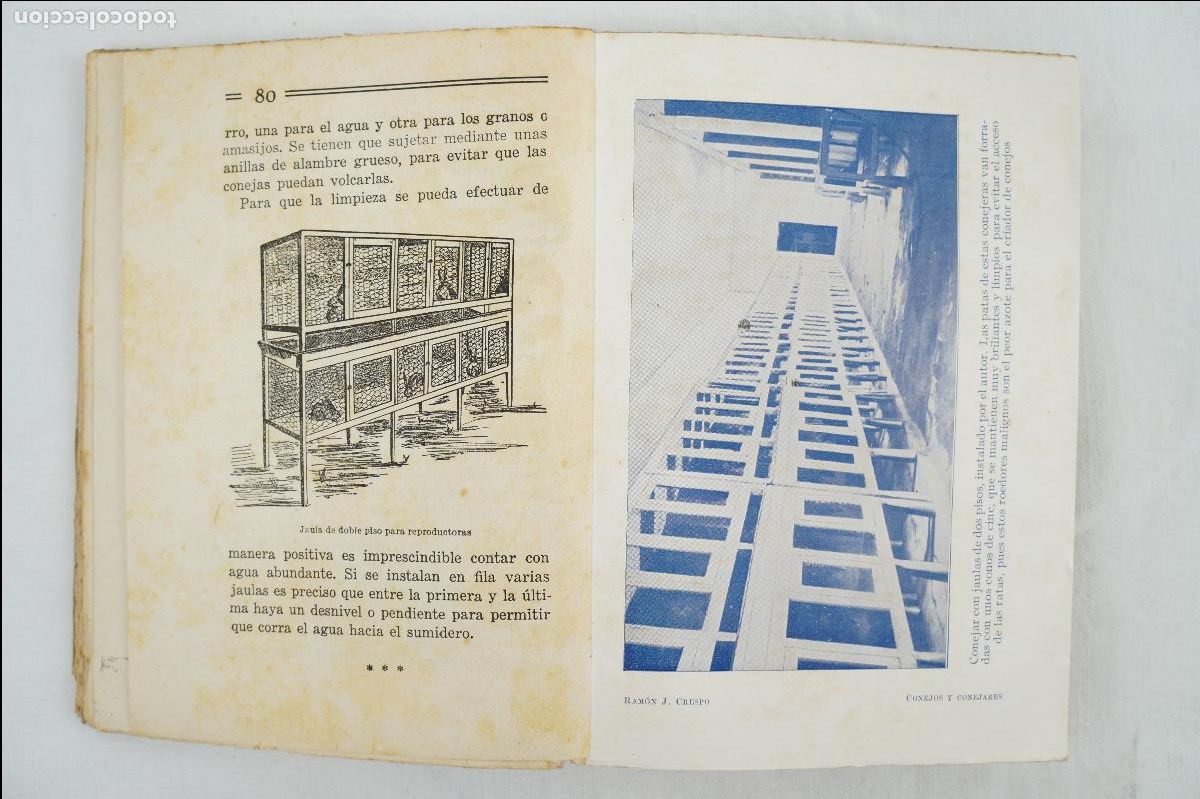 Libros de segunda mano: Conejos y conejares - 7&ordf; edici&oacute;n - Ram&oacute;n J. Crespo - 1938 - Foto 6