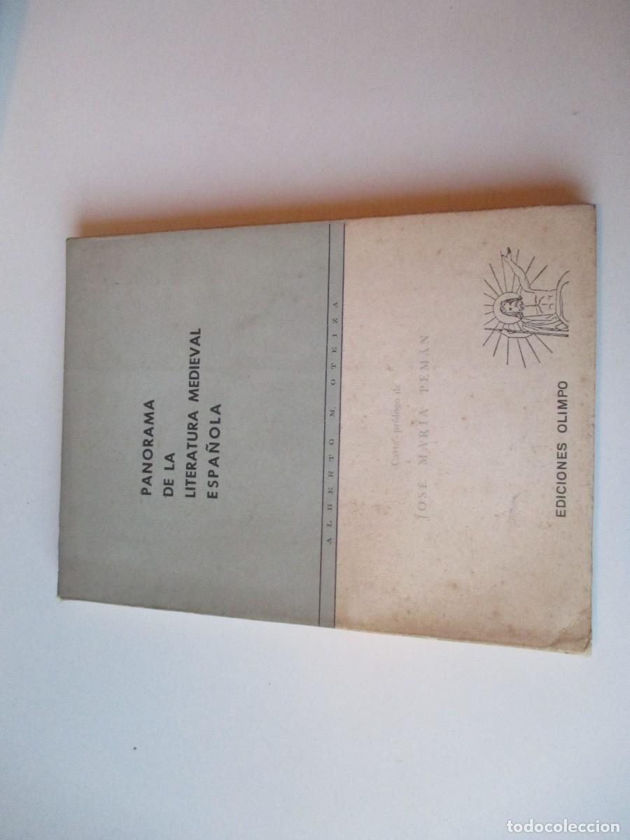 Libros de segunda mano: Panorama de la literatura medieval W36094 - Foto 1