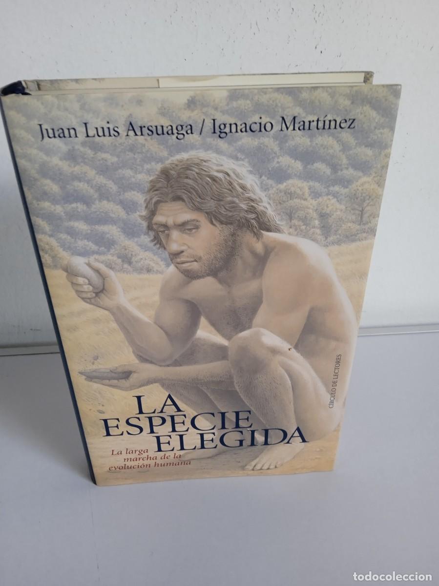 Libros de segunda mano: LA ESPECIE ELEGIDA Juan Luis Arsuaga / Ignacio Mart&iacute;nez - Foto 1