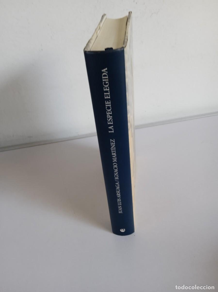 Libros de segunda mano: LA ESPECIE ELEGIDA Juan Luis Arsuaga / Ignacio Mart&iacute;nez - Foto 2