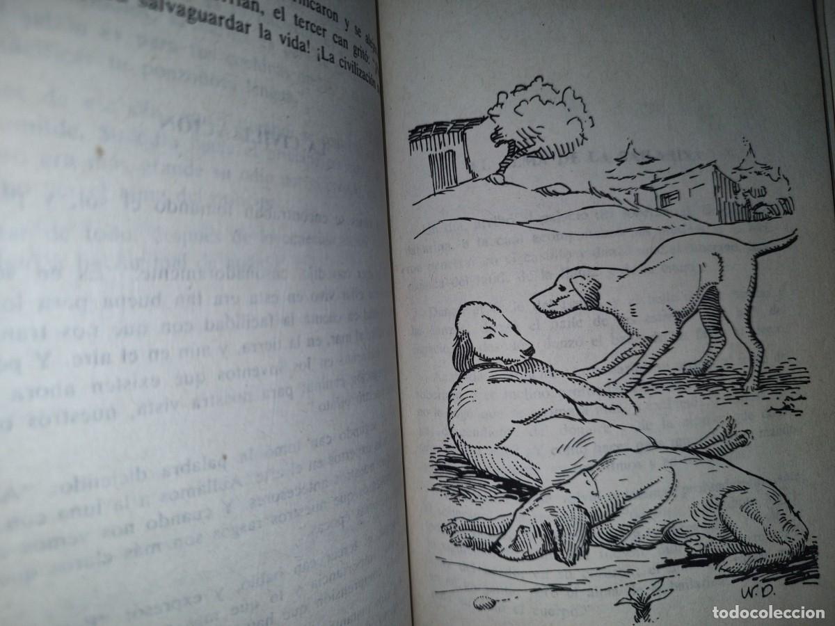 Libros de segunda mano: 159- EL VAGABUNDO - GIBR&Aacute;N J. GIBR&Aacute;N - EDITORIAL &Eacute;POCA - 1981 - Foto 8
