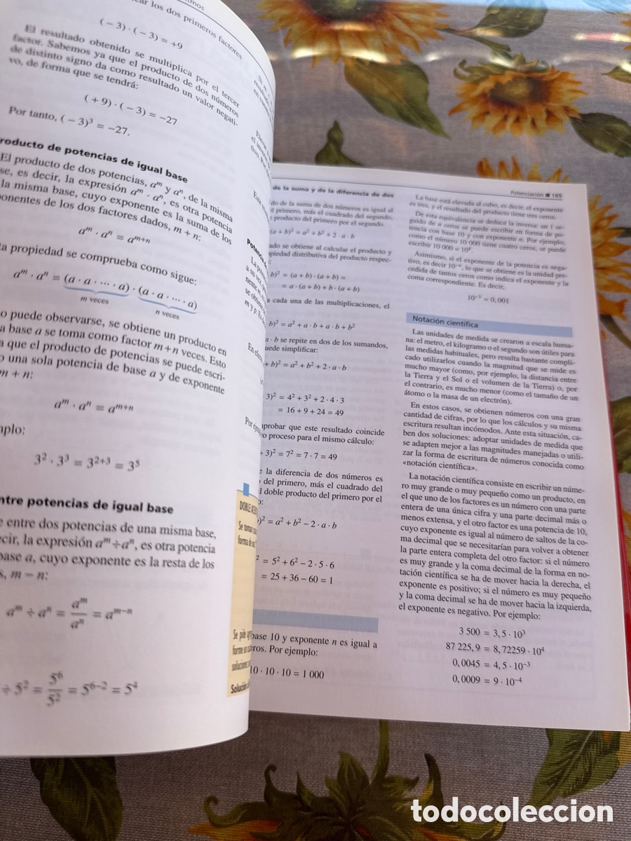 Libros de segunda mano: Para aprender y aprobar. 5 tomos. Gram&aacute;tica, Matem&aacute;ticas, Ingl&eacute;s y T&eacute;cnicas de Estudios. - Foto 10
