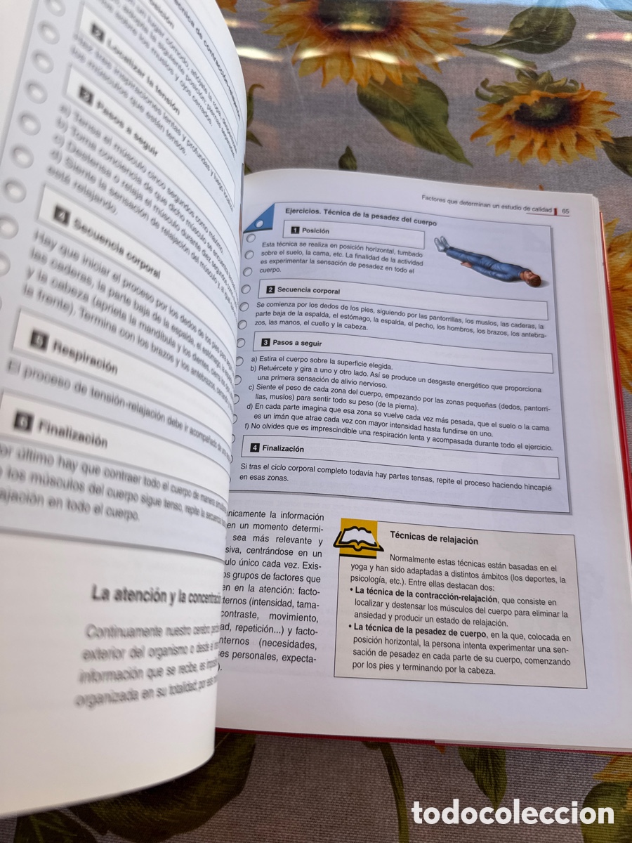 Libros de segunda mano: Para aprender y aprobar. 5 tomos. Gram&aacute;tica, Matem&aacute;ticas, Ingl&eacute;s y T&eacute;cnicas de Estudios. - Foto 20