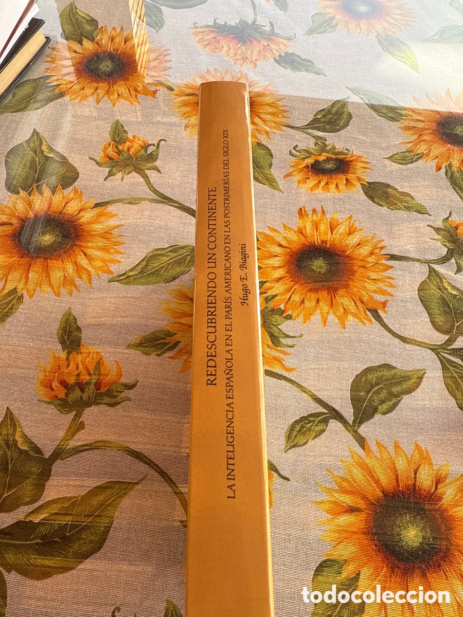 Libros de segunda mano: Redescubriendo un continente. Hugo E. Biagini. - Foto 2