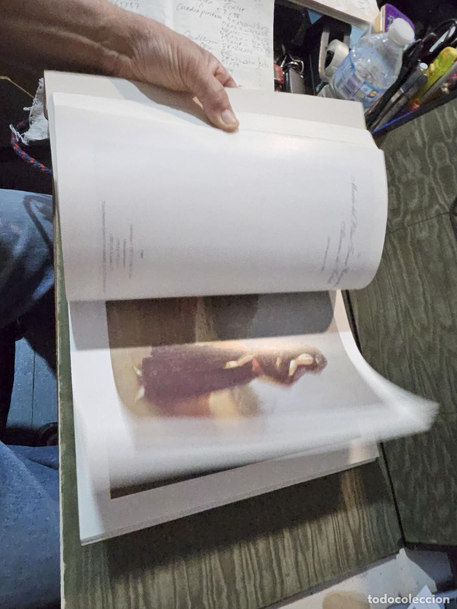 Libros de segunda mano: libro de francisco de goya - Foto 14