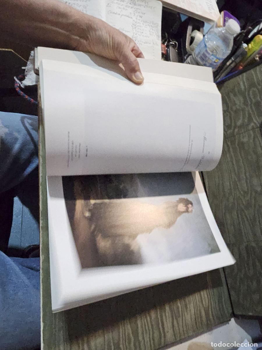 Libros de segunda mano: libro de francisco de goya - Foto 15