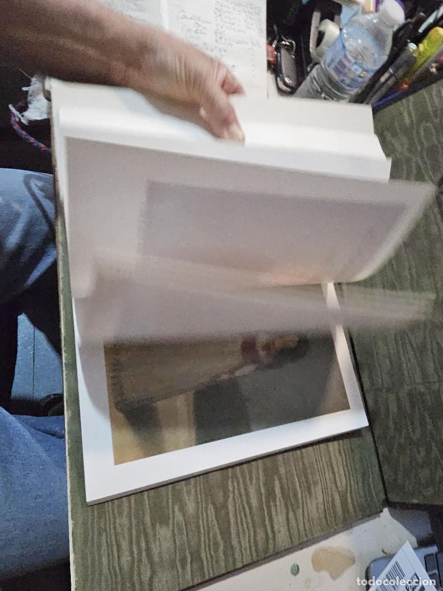 Libros de segunda mano: libro de francisco de goya - Foto 21