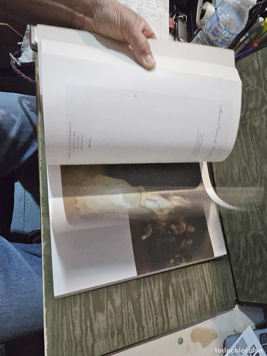 Libros de segunda mano: libro de francisco de goya - Foto 22