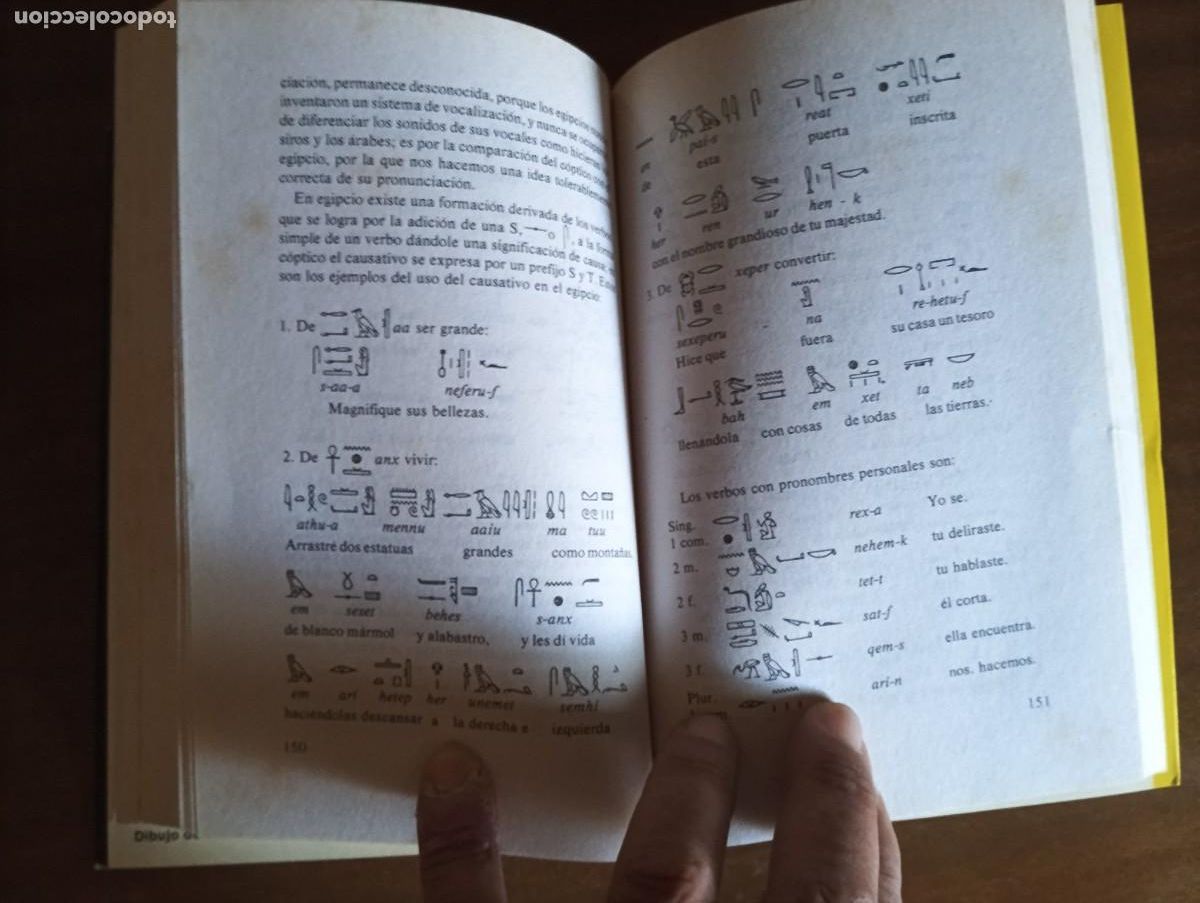 Libros de segunda mano: Jerogl&iacute;ficos egipcios. - W. Budge. - Foto 5