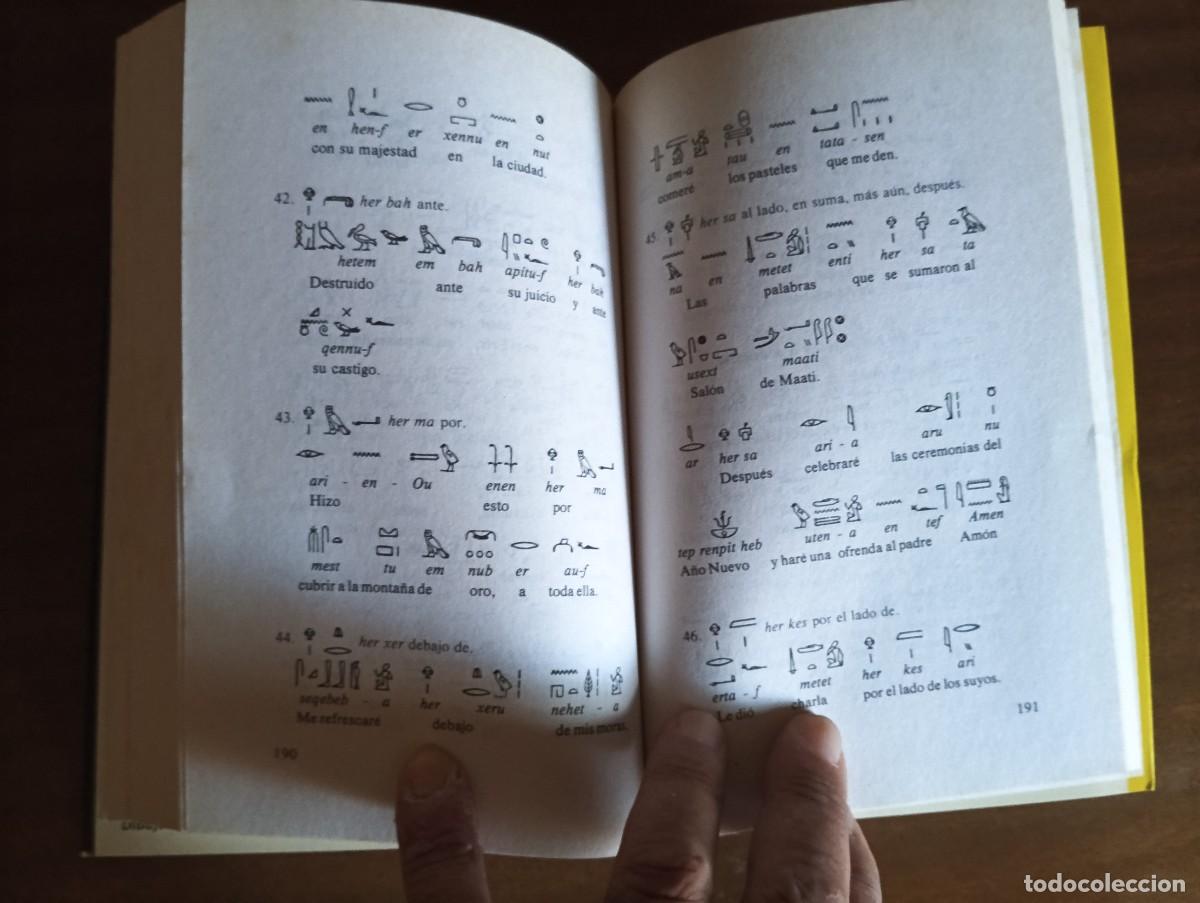 Libros de segunda mano: Jerogl&iacute;ficos egipcios. - W. Budge. - Foto 6