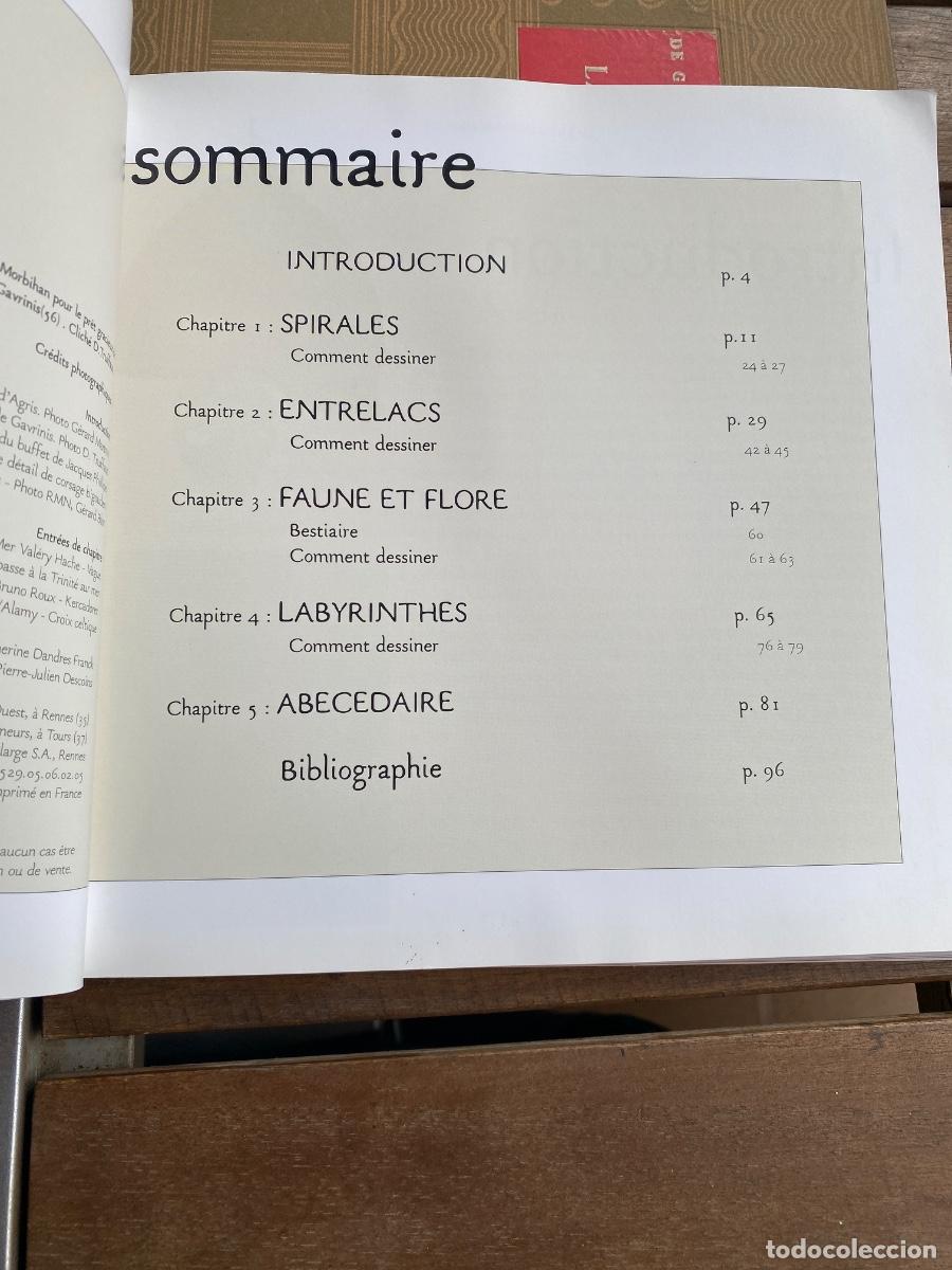Libros de segunda mano: MOTIFS CELTIQUES DAVID BALADE 2003 - Foto 2