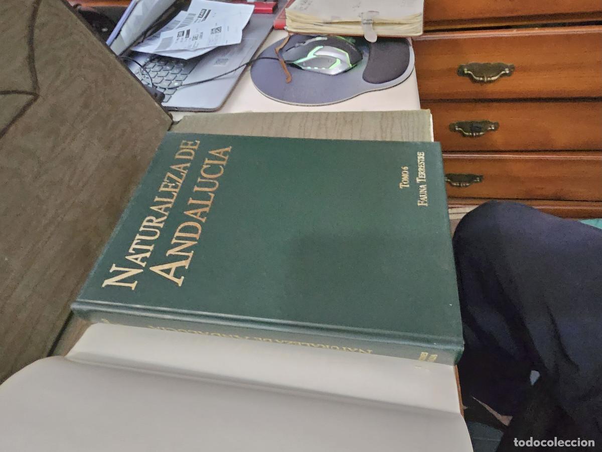 Libros de segunda mano: libro de la naturaleza de andalucia - Foto 1