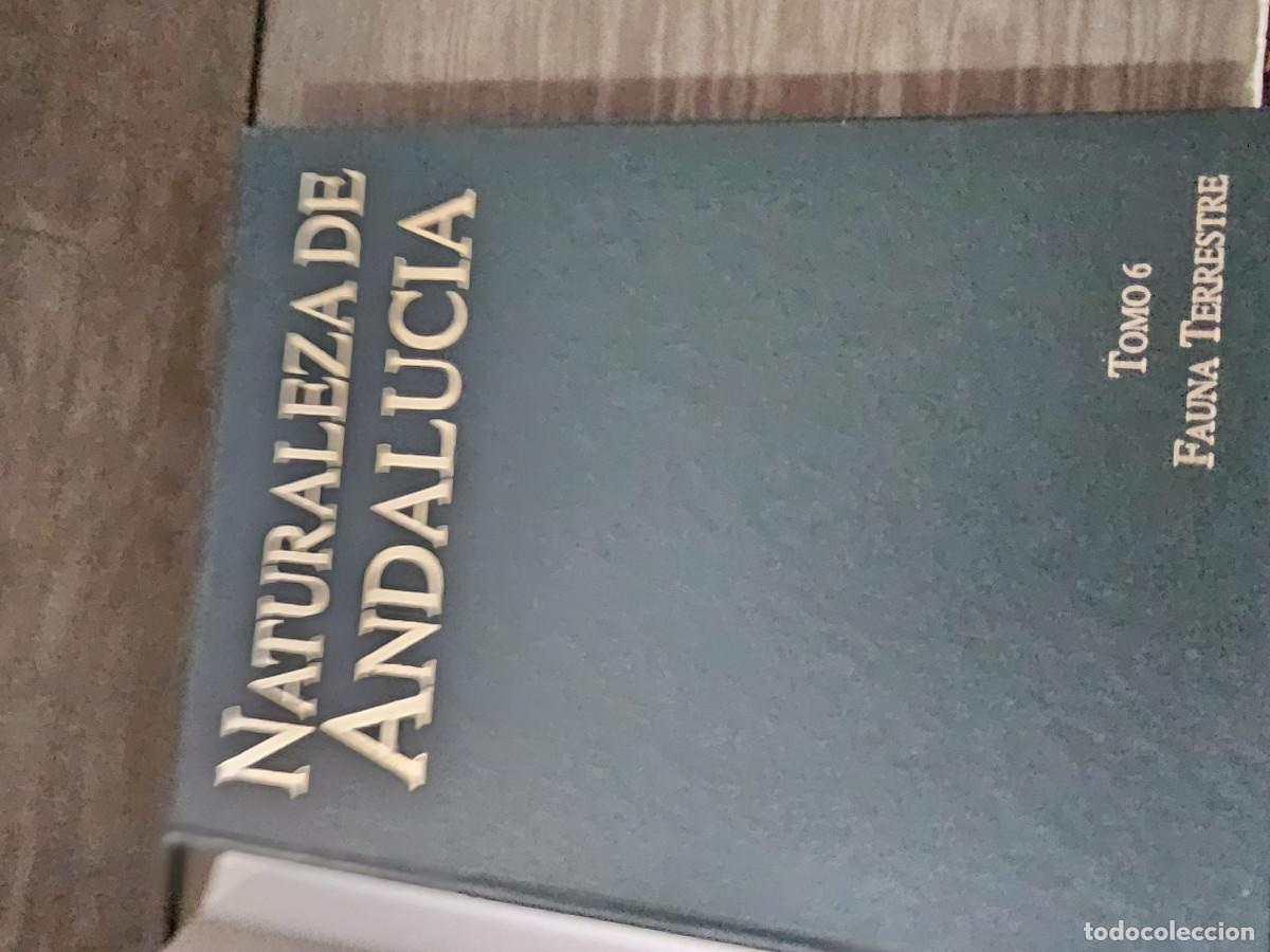 Libros de segunda mano: libro de la naturaleza de andalucia - Foto 2