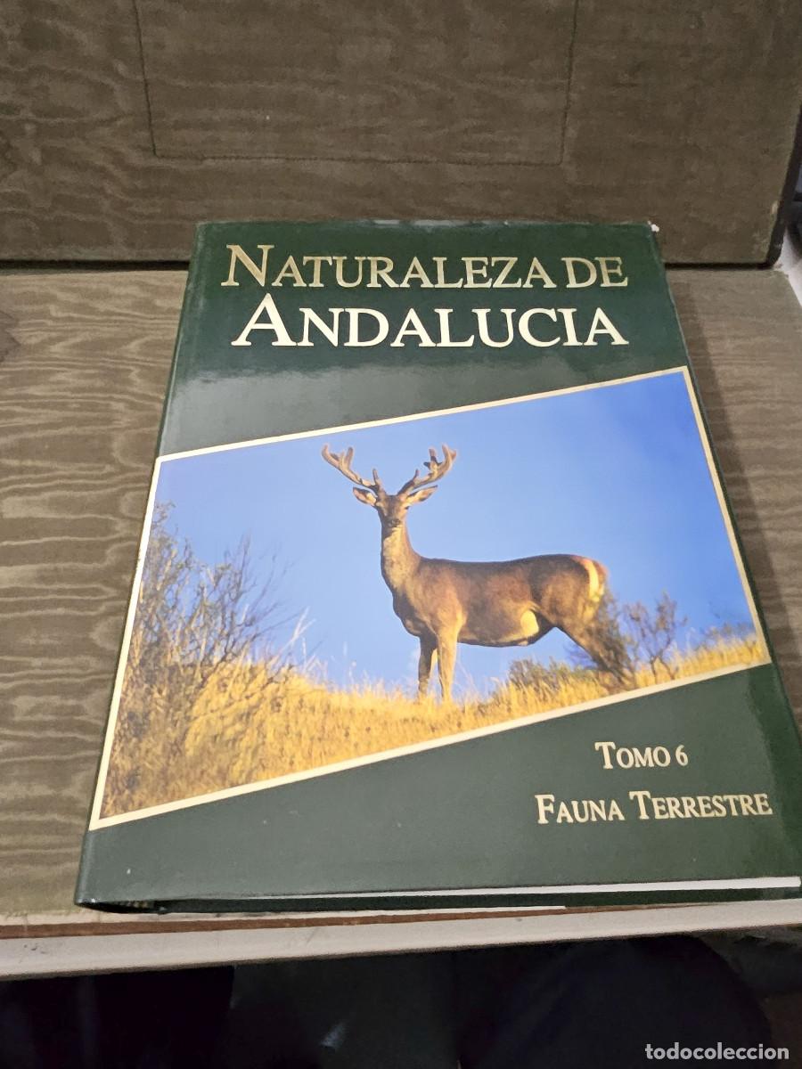 Libros de segunda mano: libro de la naturaleza de andalucia - Foto 3