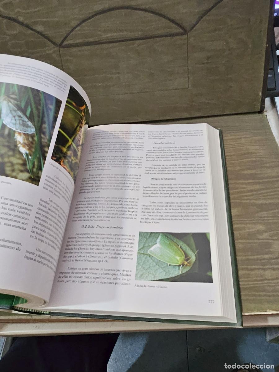 Libros de segunda mano: libro de la naturaleza de andalucia - Foto 4