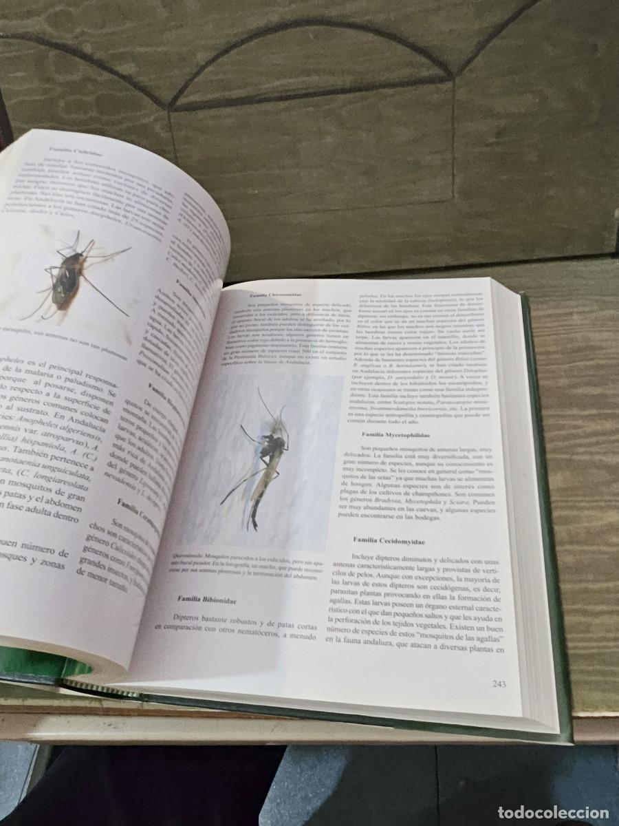 Libros de segunda mano: libro de la naturaleza de andalucia - Foto 5