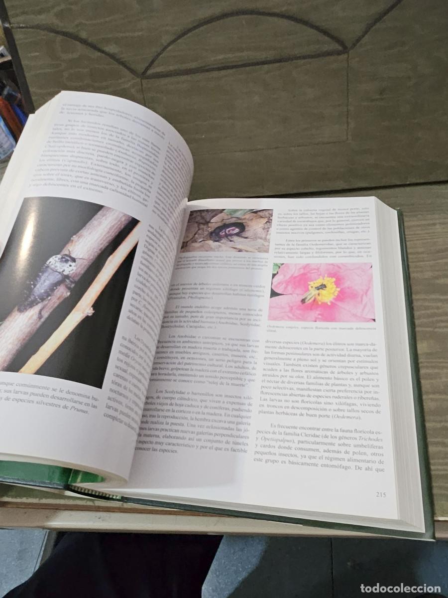 Libros de segunda mano: libro de la naturaleza de andalucia - Foto 7