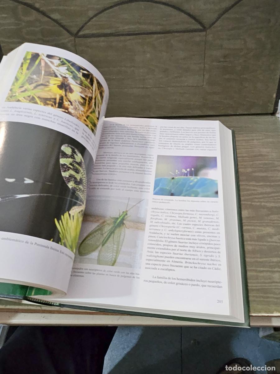 Libros de segunda mano: libro de la naturaleza de andalucia - Foto 8