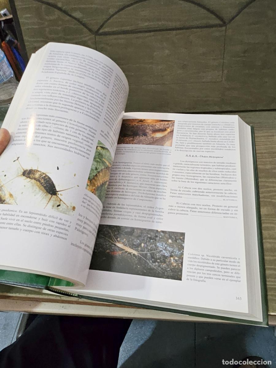 Libros de segunda mano: libro de la naturaleza de andalucia - Foto 10