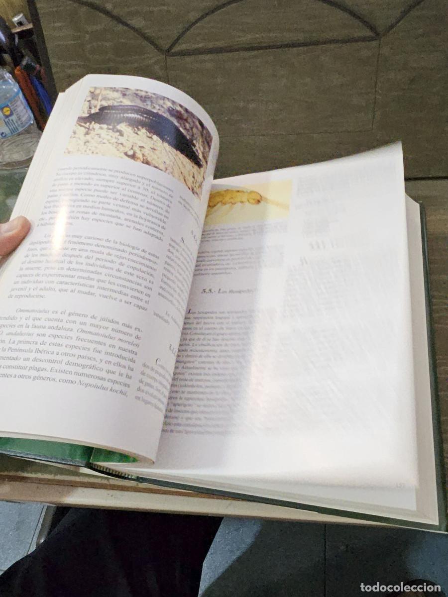Libros de segunda mano: libro de la naturaleza de andalucia - Foto 11
